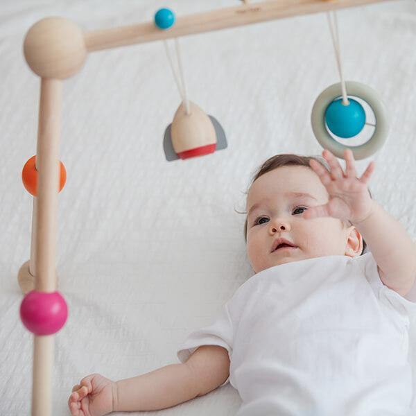 Baby Gym - The Crib