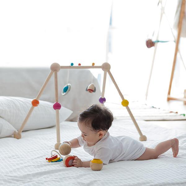 Baby Gym - The Crib