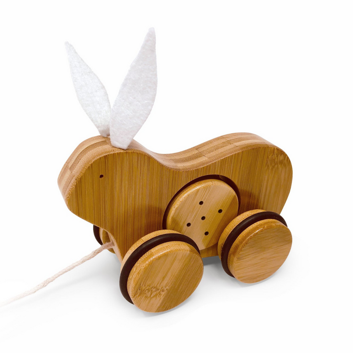 Kinderfeets Push & Pull Rabbit